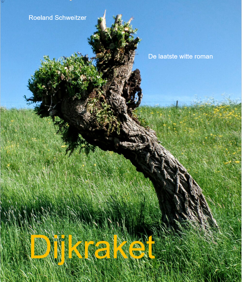 Dijkraket, eerste cover, met wilg langs de Waterdijk, van Klem Los, circa 2013