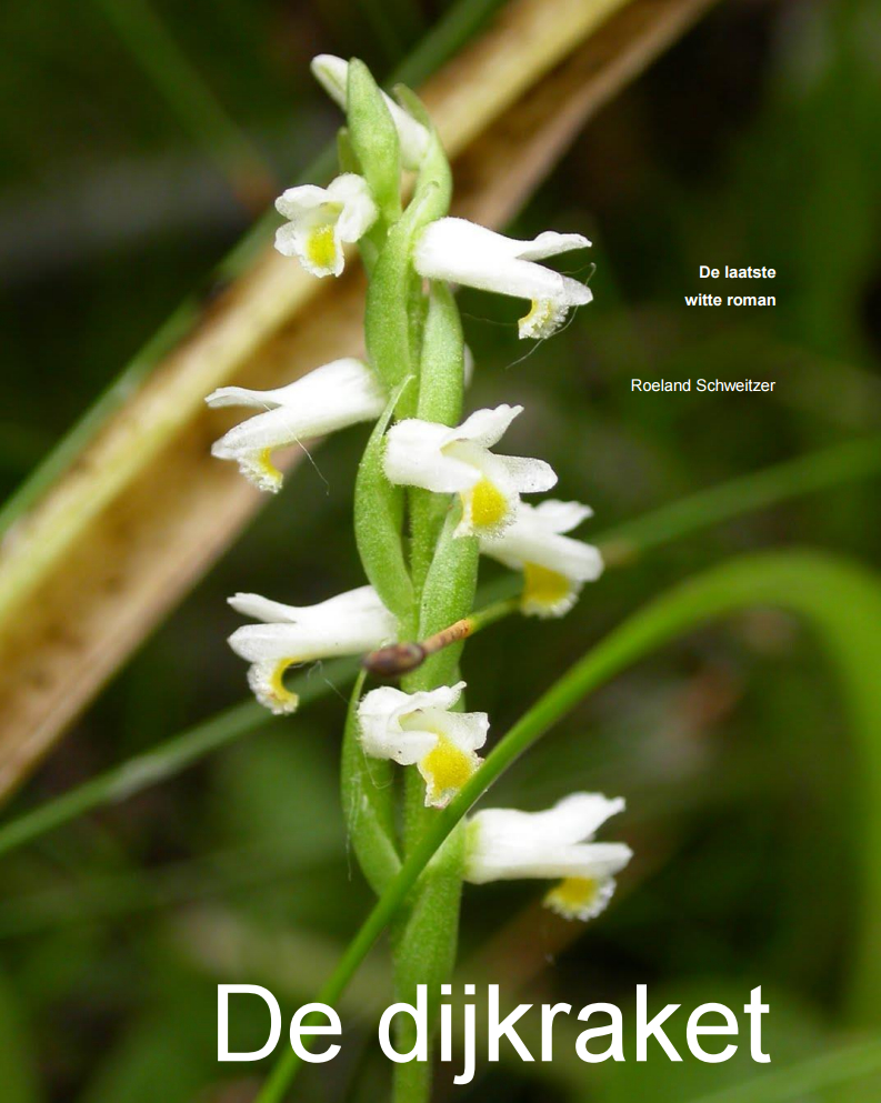 (het plantje) De Dijkraket, cover van de versie van Klem Los uit 2015